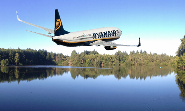 Fly and Fish&pound;600