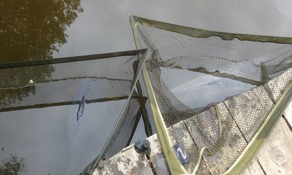 Drive and Survive&pound;425